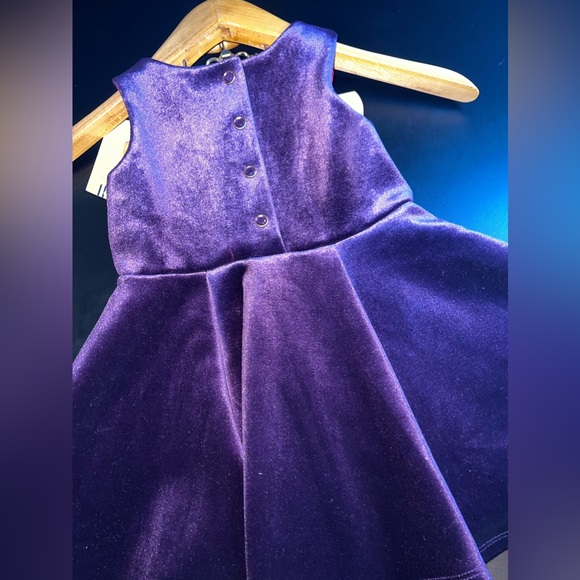Genuine Kids Oshkosh Purple Velvet Gem Buttoned Back Dress Size 2T NWT - Picture 7 of 8